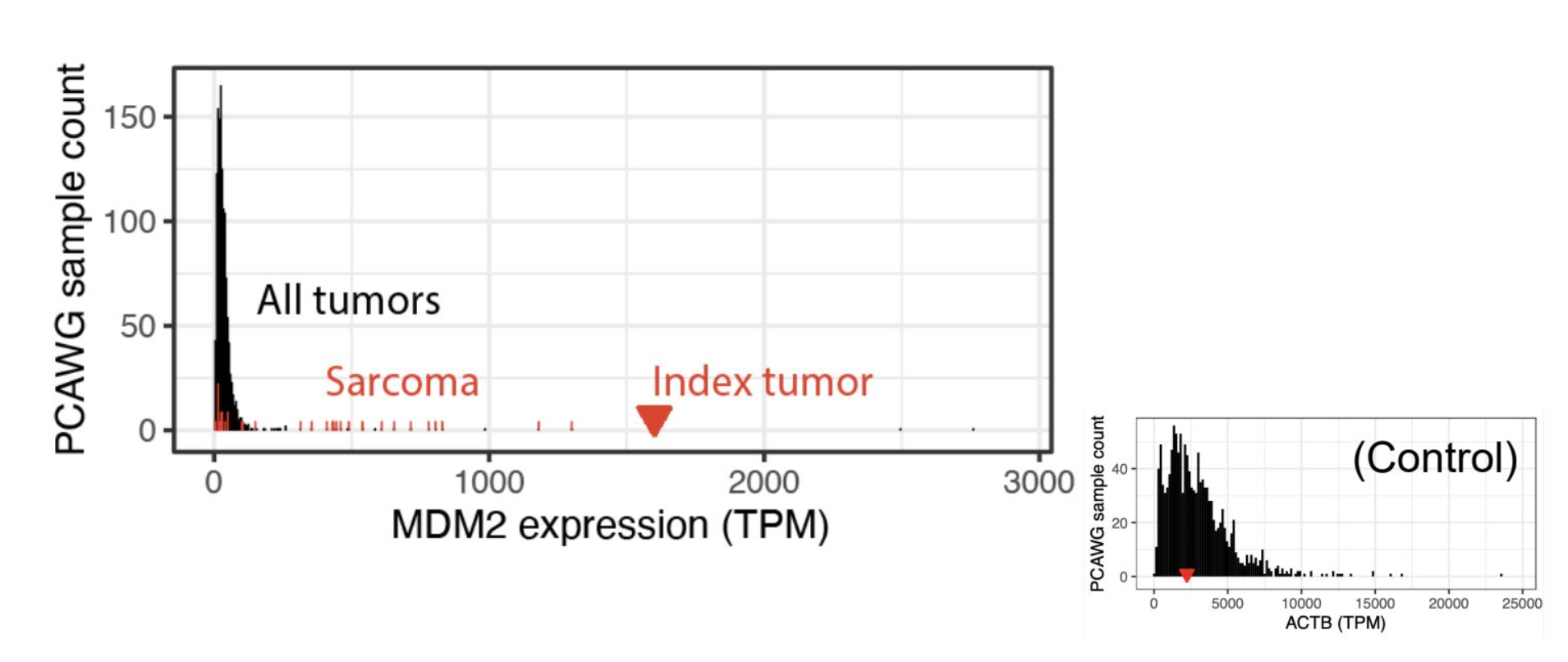 RNA-seq에서 MDM2가 대조군 대비 과발현된 것을 확인