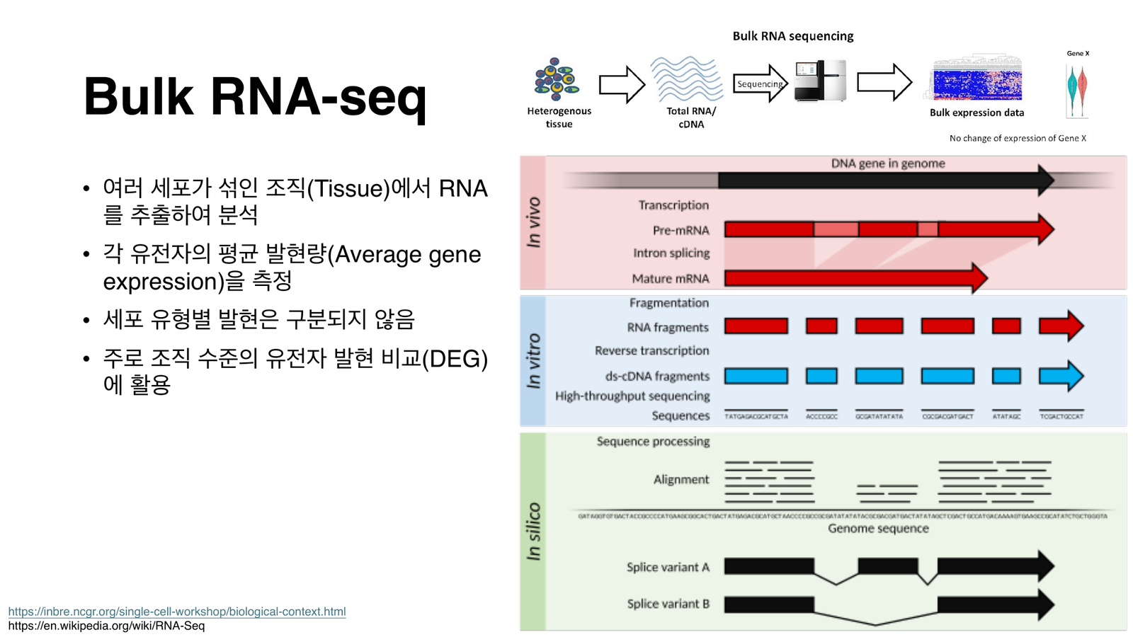 Bulk RNA-seq 개요: 조직에서 RNA를 추출해 평균 발현을 측정하고, DNA→전사→시퀀싱→정렬로 이어지는 흐름