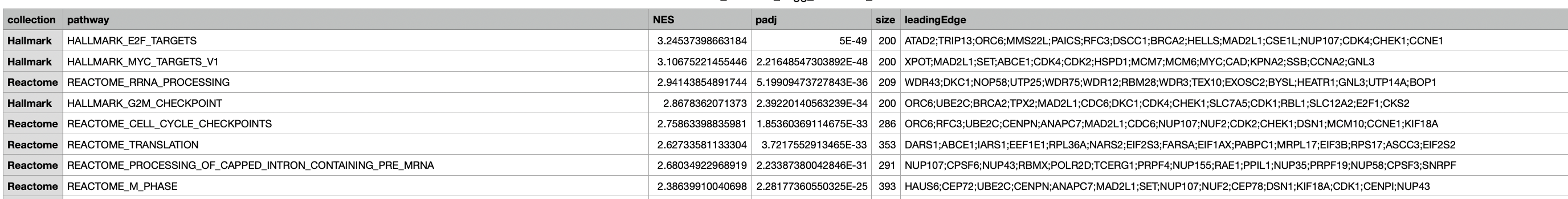 GSE251845 Hallmark GSEA 결과표 예시. pathway별 ES, NES, p-value와 leading-edge 유전자가 보인다.