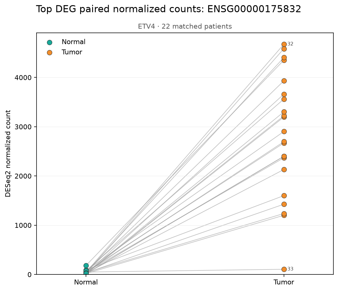 ETV4의 환자별 Normal과 Tumor 정규화 count. 회색 선 하나는 같은 환자의 두 조직을 연결한다.