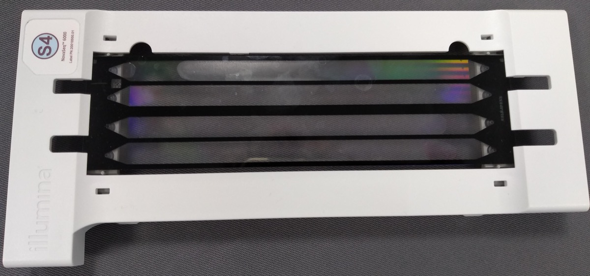 Illumina NovaSeq S4 flow cell: 표면의 줄무늬가 lane